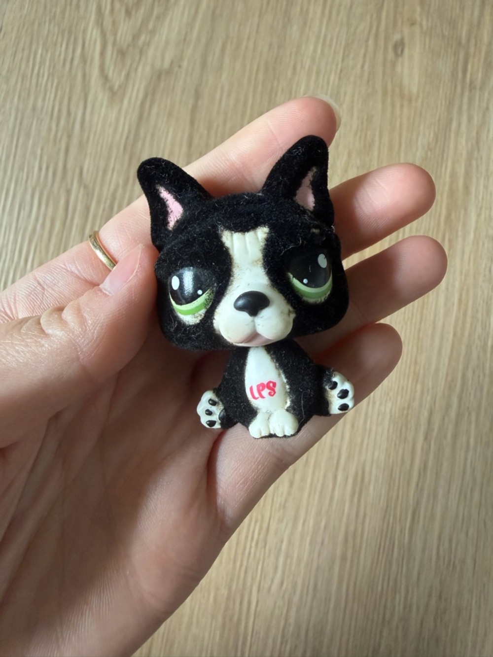 Littlest Pet Shop Boston #978 special edition French bulldog